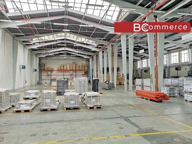 Pronájem skladu, Břeclav, Mládežnická, 3164 m2