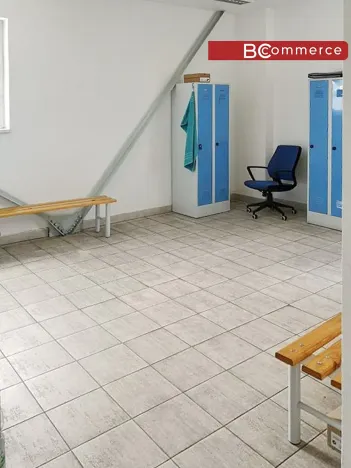 Pronájem skladu, Břeclav, Mládežnická, 3164 m2