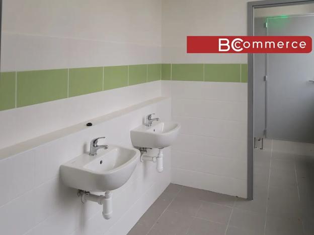 Pronájem skladu, Holubice, 1100 m2