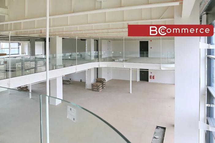 Pronájem kanceláře, Brno, Lazaretní, 900 m2