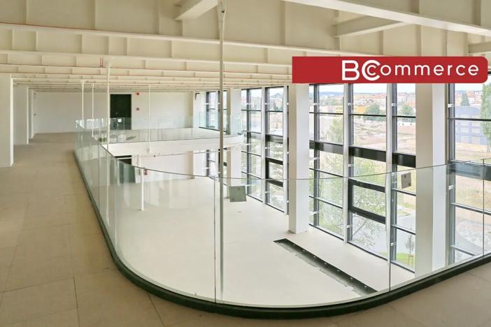 Pronájem kanceláře, Brno, Lazaretní, 415 m2