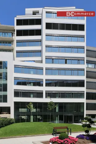 Pronájem kanceláře, Brno, 445 m2