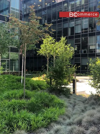 Pronájem kanceláře, Brno, 500 m2