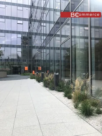 Pronájem kanceláře, Brno, 1363 m2