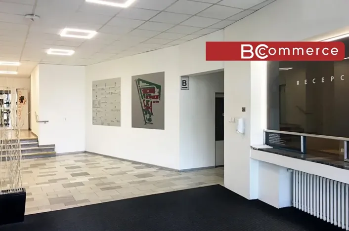 Pronájem kanceláře, Brno, Mariánské náměstí, 30 m2