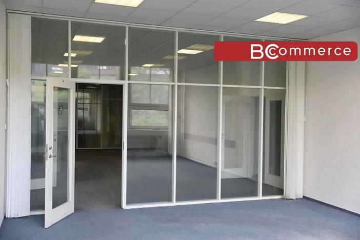 Pronájem kanceláře, Brno, 350 m2