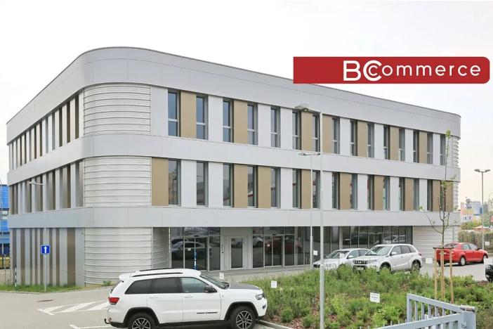 Pronájem kanceláře, Brno, Polní, 350 m2