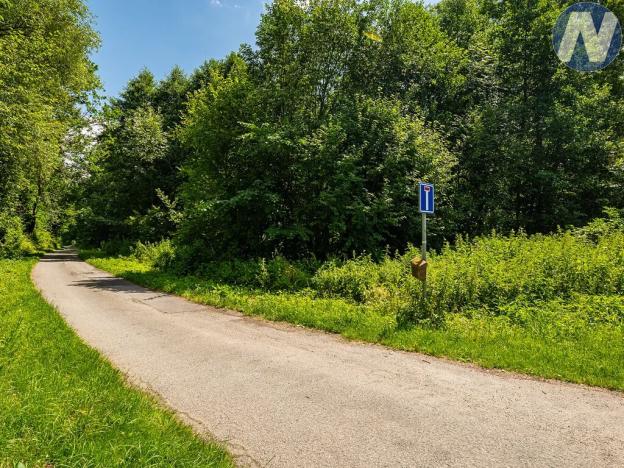 Prodej pozemku, Lhenice, 7891 m2