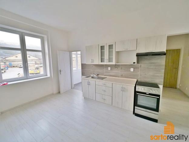 Prodej činžovního domu, Ústí nad Labem, Drážďanská, 521 m2