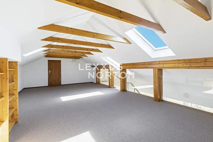 Pronájem bytu 6+kk a větší, Praha - Braník, Psohlavců, 290 m2