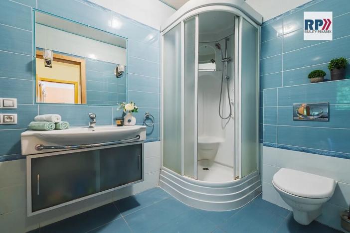 Prodej rodinného domu, Šestajovice, Potoční, 320 m2