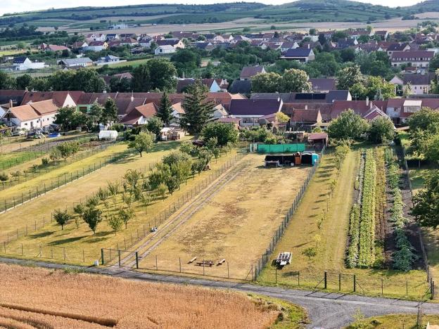 Prodej pozemku pro bydlení, Dolní Dunajovice, 2041 m2