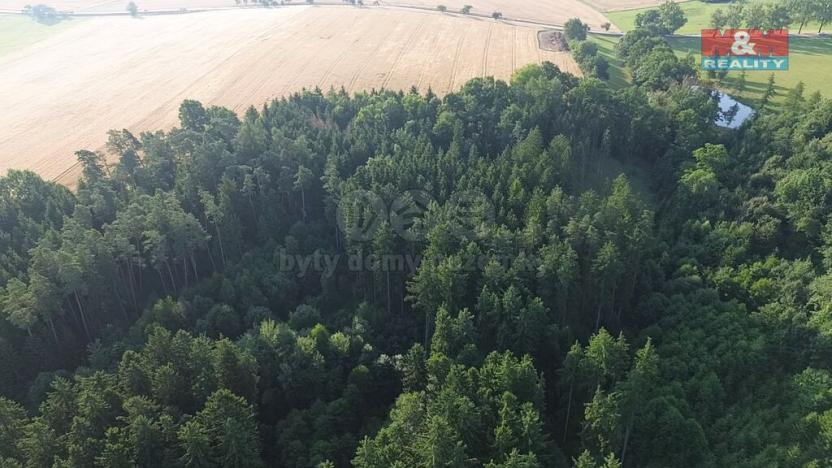 Prodej lesa, Tábor - Horky, 5139 m2