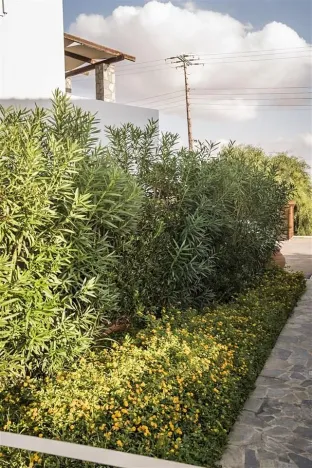 Prodej vily, Stavros, Řecko, 543 m2