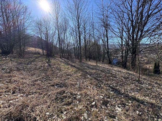 Prodej pozemku pro bydlení, Zlaté Hory, U Sv. Rocha, 5589 m2