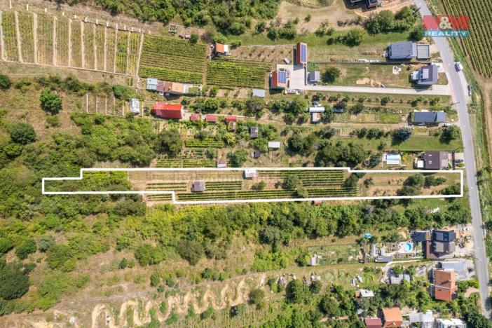 Prodej pozemku pro bydlení, Viničné Šumice, 3276 m2