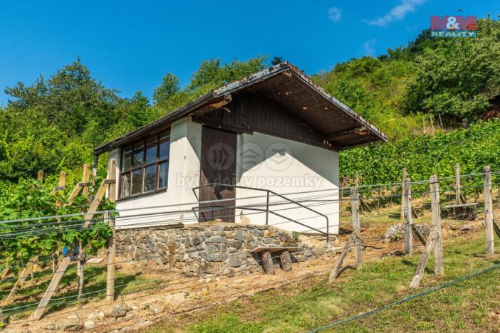 Prodej pozemku pro bydlení, Viničné Šumice, 3276 m2