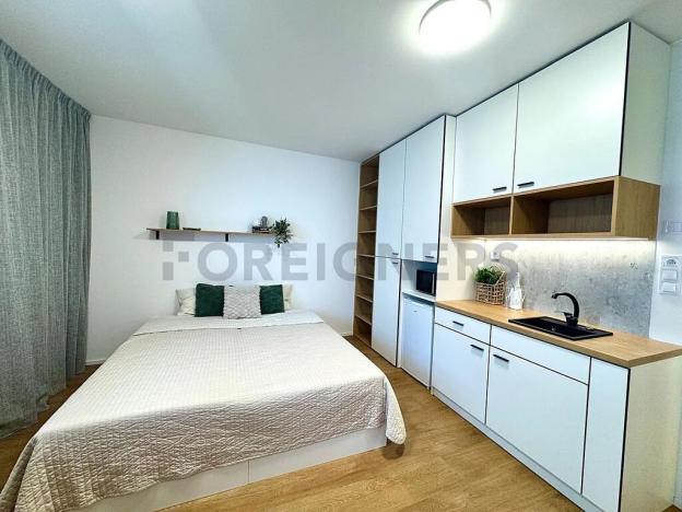 Pronájem bytu 1+kk, Brno, Cejl, 30 m2
