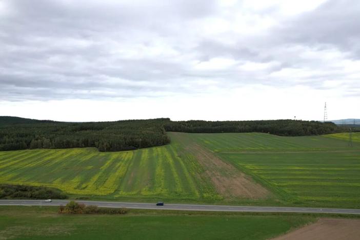 Prodej komerčního pozemku, Chotíkov, 7341 m2