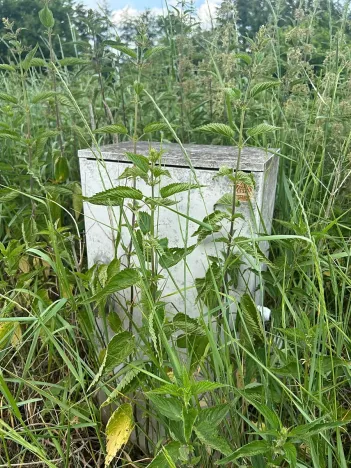 Prodej pozemku, Skalička, 758 m2