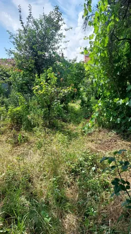 Prodej bytu 2+kk, Brno, Slovinská, 64 m2