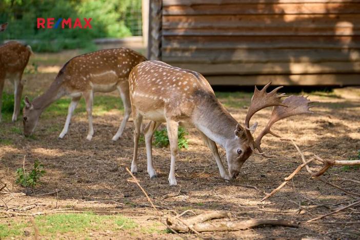 Prodej rodinného domu, Spálené Poříčí, 60 m2