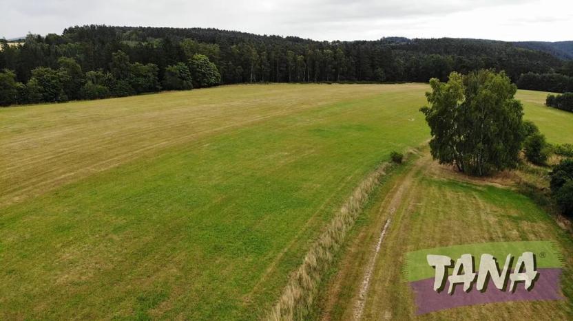 Prodej louky, Hlavice, 24694 m2