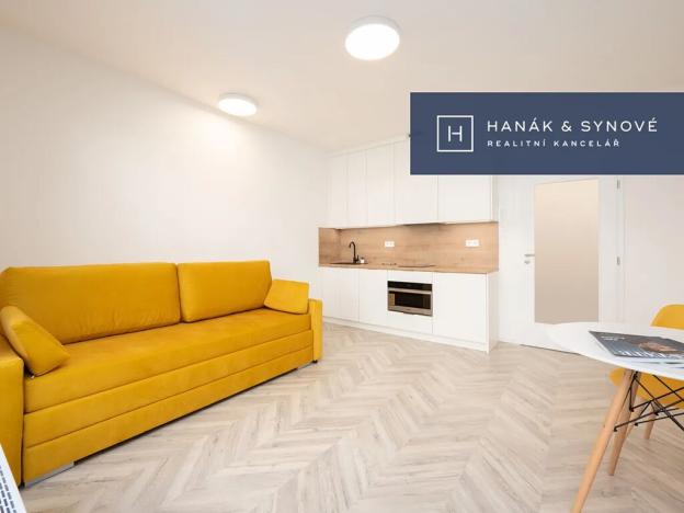 Pronájem bytu 1+kk, Brno, Cejl, 30 m2
