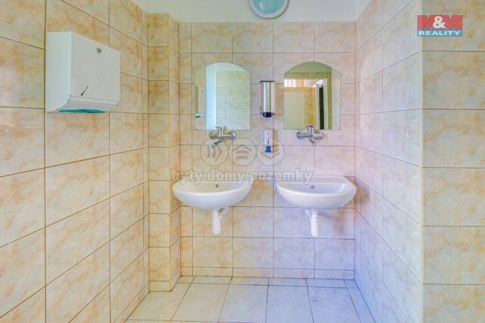 Pronájem obchodního prostoru, Plzeň - Východní Předměstí, Francouzská třída, 470 m2