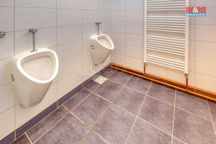 Pronájem obchodního prostoru, Plzeň - Východní Předměstí, Francouzská třída, 470 m2