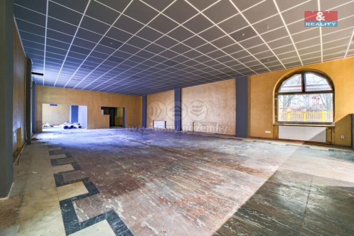 Pronájem restaurace, Plzeň - Východní Předměstí, Francouzská třída, 470 m2