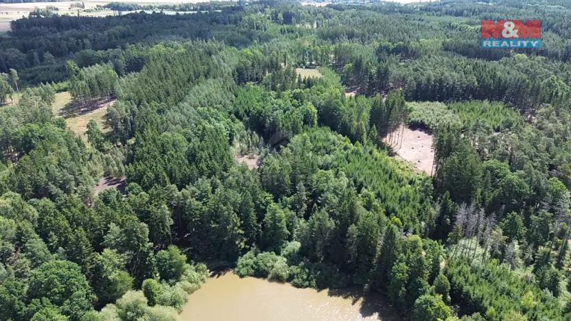 Prodej lesa, Opařany - Olší, 5323 m2