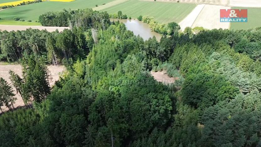 Prodej lesa, Opařany - Olší, 5323 m2