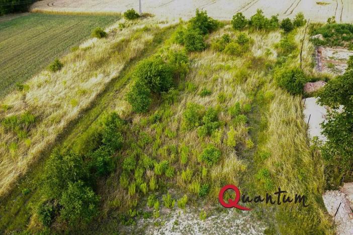 Prodej pozemku pro bydlení, Brandýsek, Pod lékárnou, 2715 m2