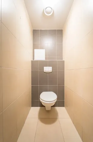 Prodej bytu 1+kk, Praha - Žižkov, U staré cihelny, 41 m2