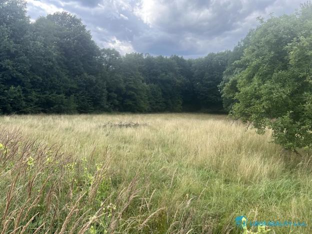 Prodej komerční nemovitosti, Horní Bludovice, 440 m2