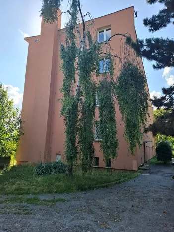 Prodej bytu 2+1, Brno, Neumannova, 60 m2