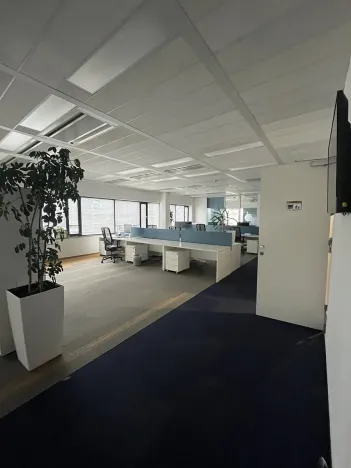 Pronájem kanceláře, Brno, Holandská, 872 m2