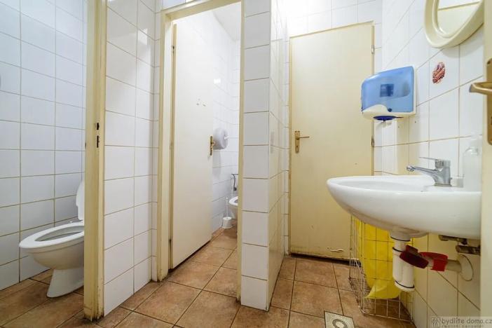 Prodej restaurace, Tábor, Lužnické údolí, 694 m2