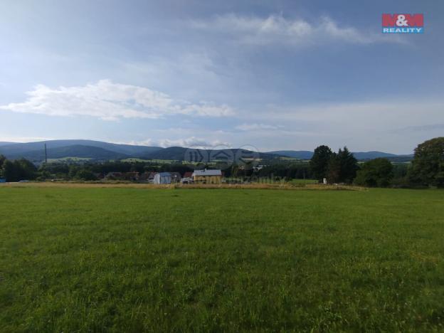 Prodej pozemku pro bydlení, Nové Město pod Smrkem - Hajniště, 1299 m2