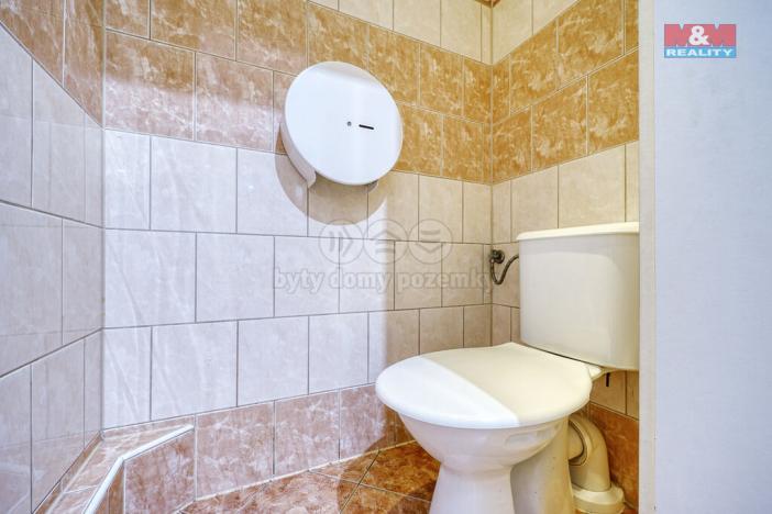 Prodej restaurace, Toužim, Školní, 524 m2