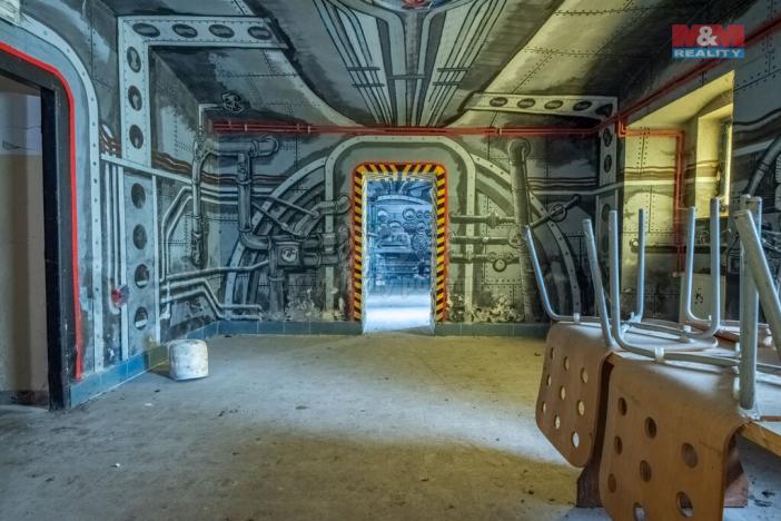 Prodej obchodního prostoru, Strakonice - Strakonice II, Komenského, 800 m2