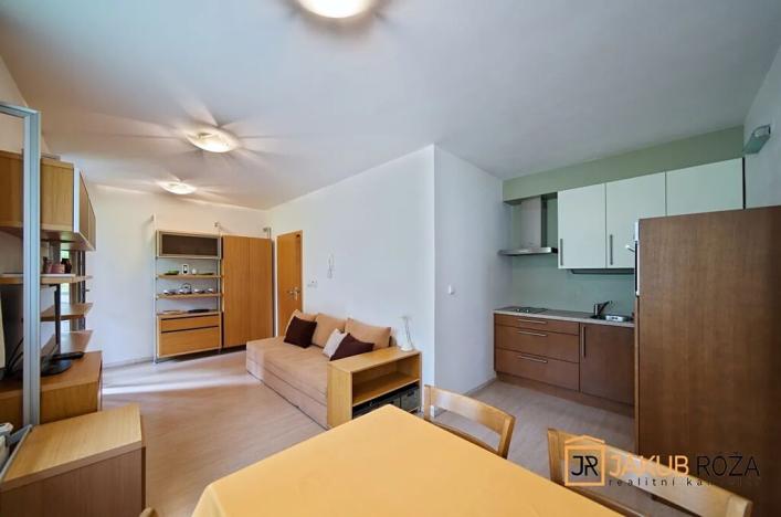 Prodej bytu 2+kk, Harrachov, 48 m2