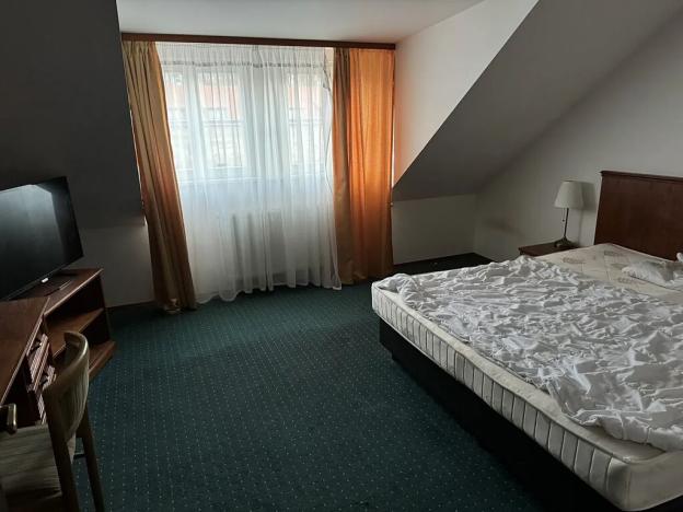 Prodej ubytování, Lázně Kynžvart, Zámek, 1539 m2