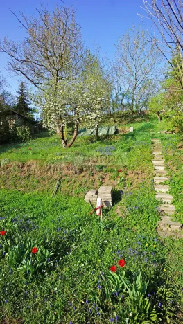 Prodej zahrady, Kralupy nad Vltavou, Lobeč, 346 m2
