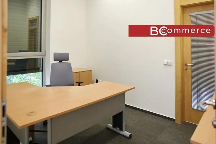 Pronájem kanceláře, Brno, 247 m2