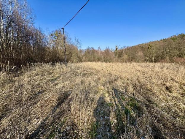 Prodej pozemku pro bydlení, Morašice, 3579 m2