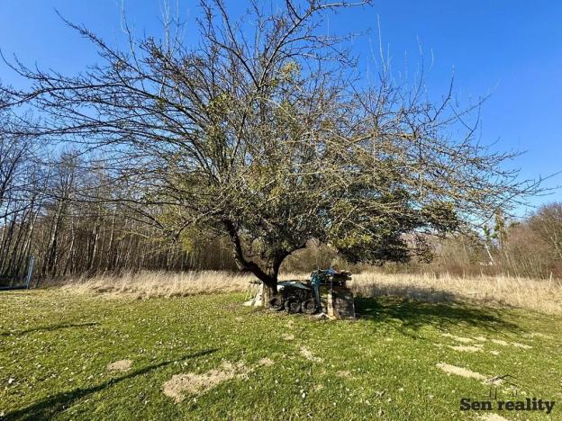 Prodej pozemku pro bydlení, Morašice, 3579 m2