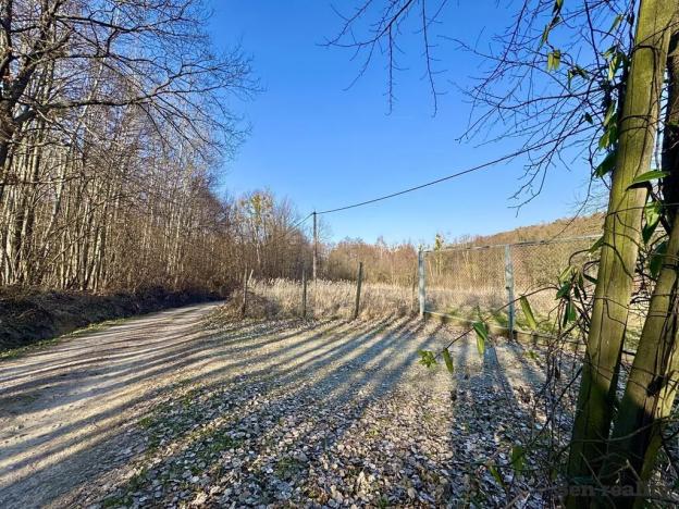 Prodej pozemku pro bydlení, Morašice, 3579 m2