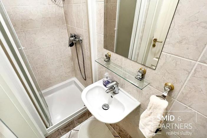 Prodej bytu 5+kk, Plzeň, Martinská, 245 m2